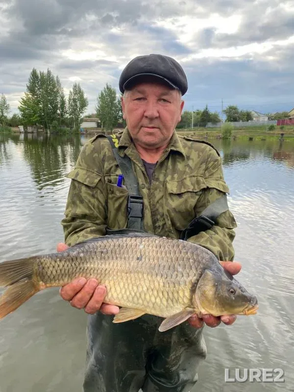 Carp — Saratovskaya oblast, Jun 28, 2024
