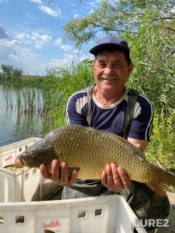 Carp — Saratovskaya oblast, Jul 16, 2024