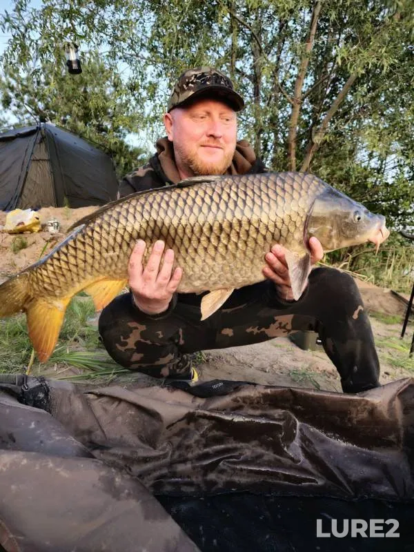 Carp — Samarskaya oblast, May 20, 2023