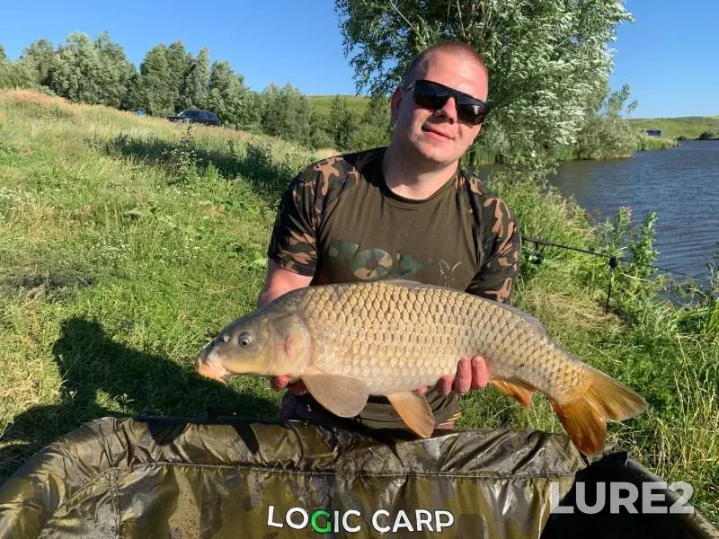 Carp — Grannoye, Jun 30, 2024