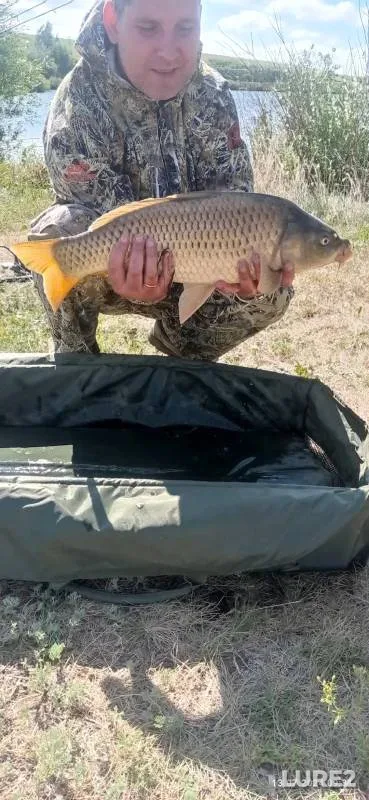 Carp — Grannoye, Jul 13, 2024