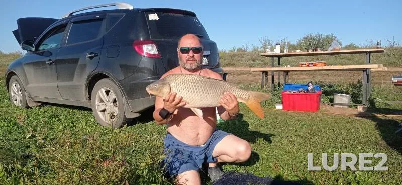 Carp — Padovka, Aug 31, 2024