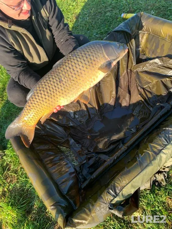 Carp — Podbelka, Sep 08, 2024