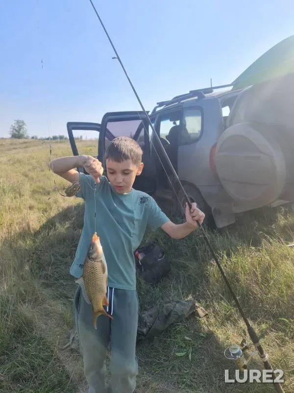Carp — Samarskaya oblast, Aug 24, 2024