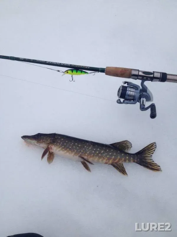 Pike — Chagodoshcha, Mar 19, 2017