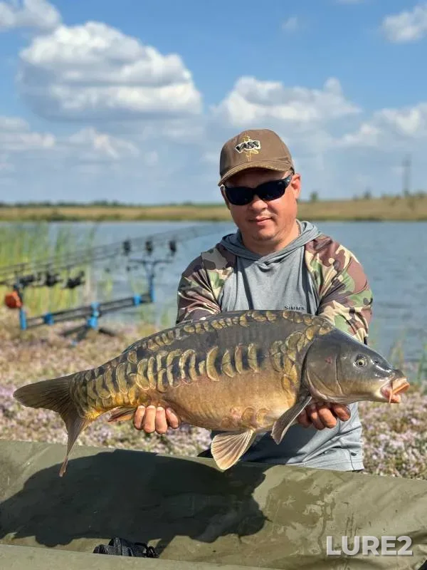 Carp — Samarskaya oblast, Sep 08, 2024