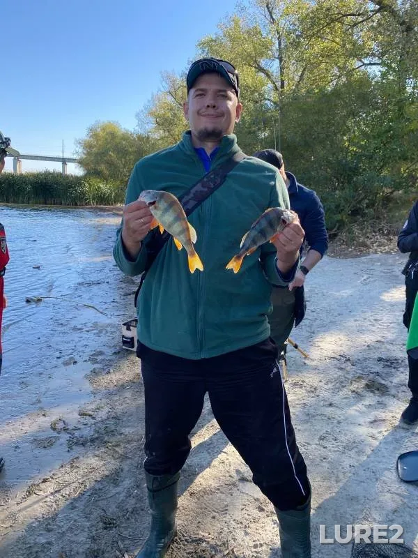 Perch — Don, Sep 22, 2024