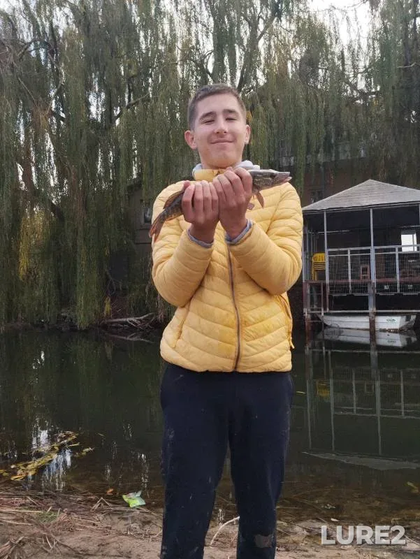 Pike — Rostovskaya oblast, Oct 29, 2024