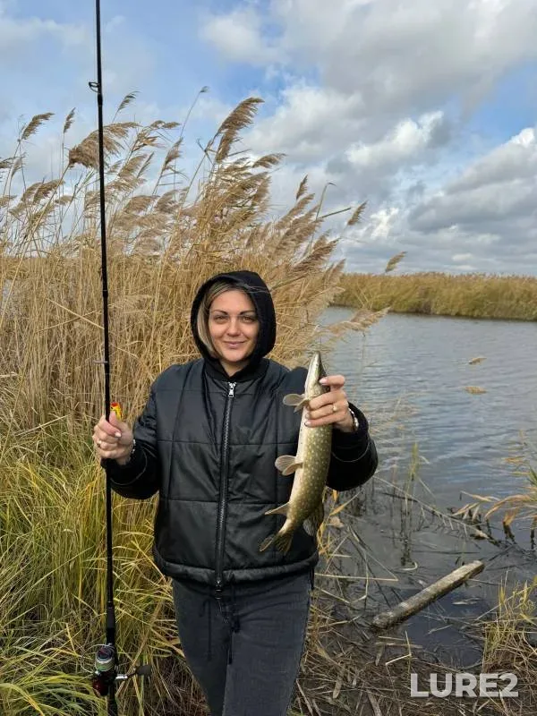 Pike — Rostovskaya oblast, Nov 01, 2024