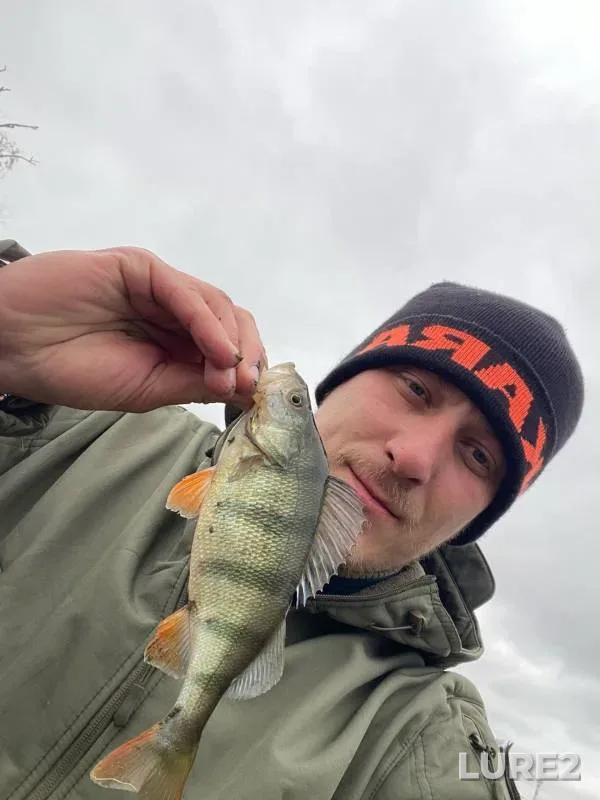 Perch, Zander — girlo Bolshaya Kuterma, Nov 12, 2024