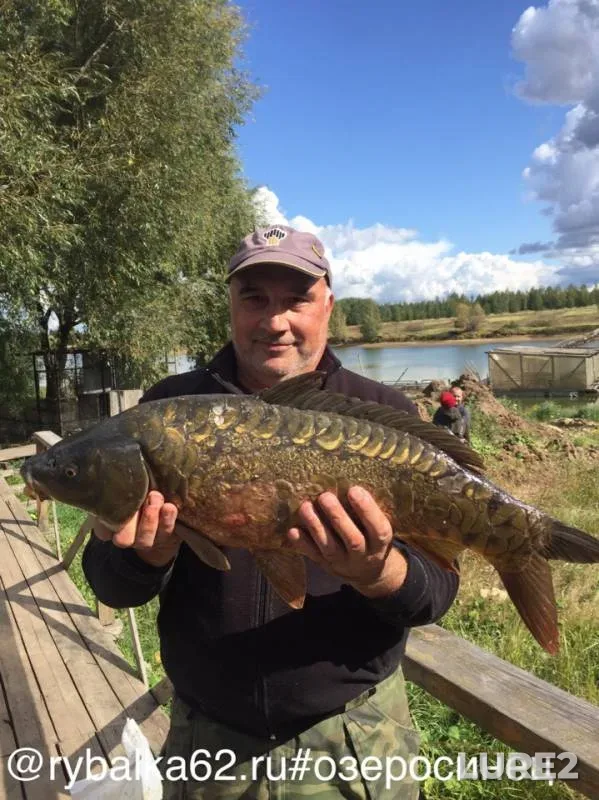 Carp — Ryazanskaya oblast, Sep 15, 2019