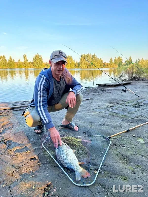 Carp — Ryazanskaya oblast, Aug 16, 2024
