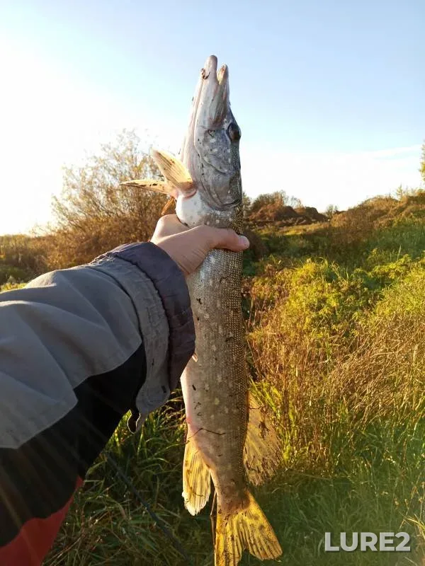 Pike — Bolshoye, Oct 19, 2024
