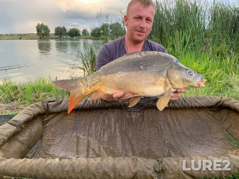 Carp — Picheleyka, Jul 31, 2024
