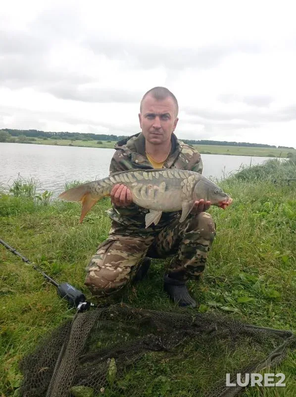 Carp — Respublika Mordoviya, Jun 27, 2024