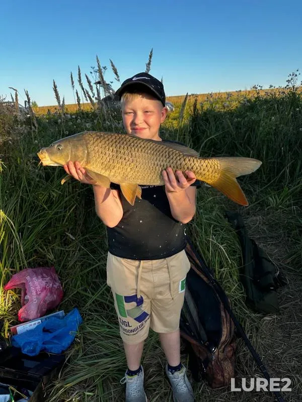 Carp — Respublika Mordoviya, Sep 15, 2024