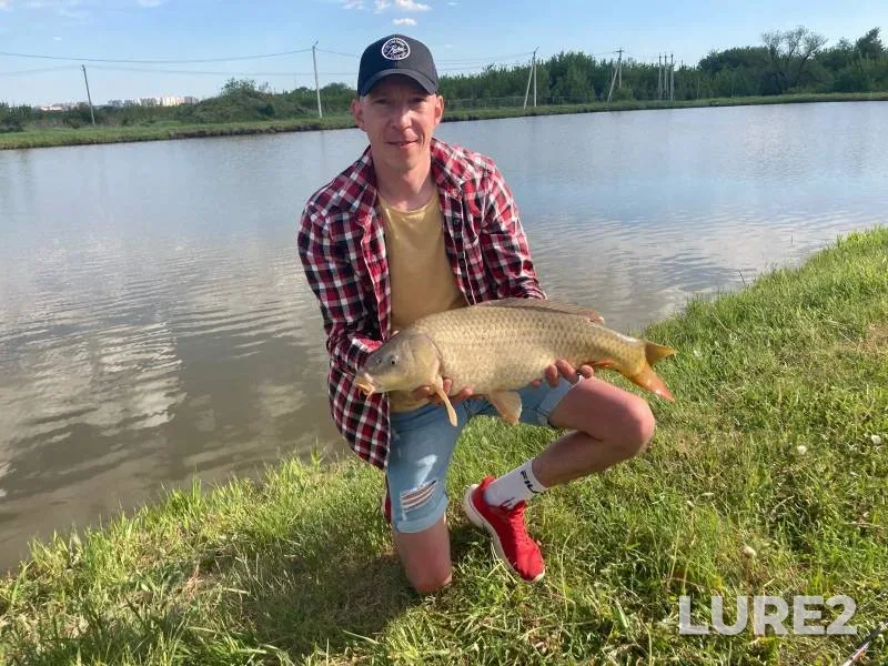 Carp — Upa, May 27, 2024