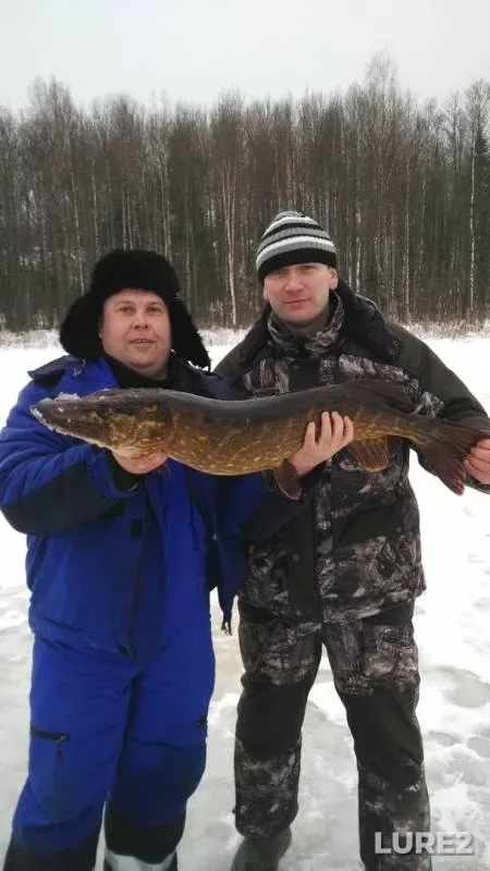 Pike — Volozhba, Dec 30, 2016