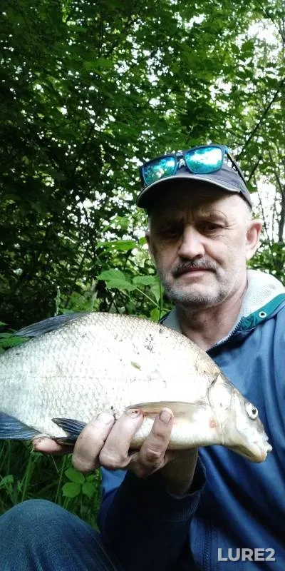 Bleak, Bream — Ushayka, Jun 14, 2024