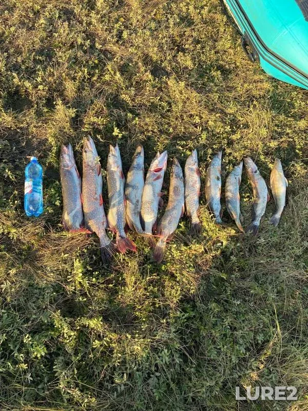 Pike, Zander — Tom, Sep 22, 2024