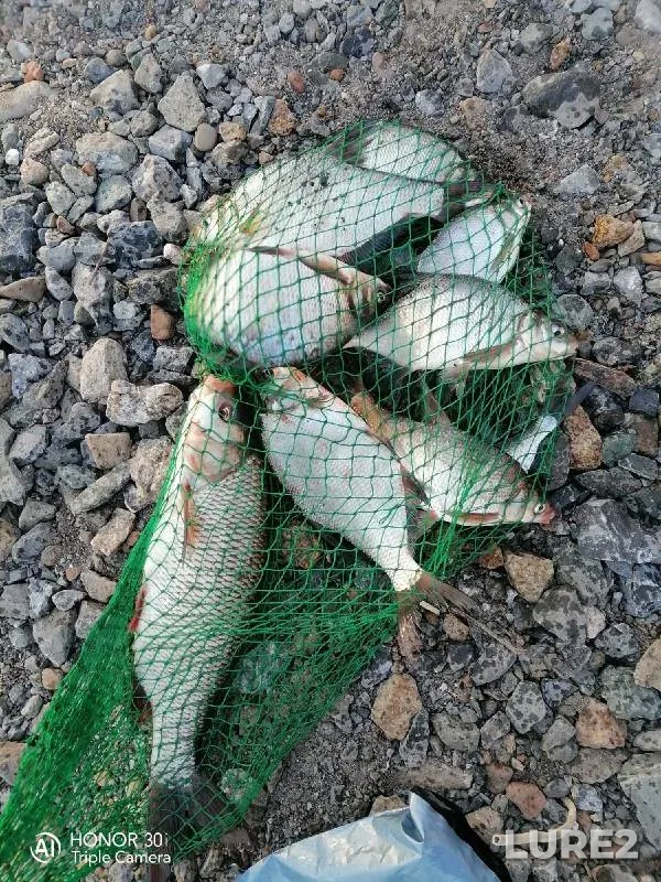 Bream, Ide — Malaya Kirgizka, May 15, 2022
