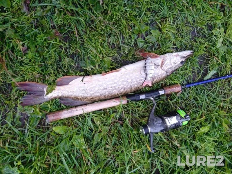Pike — Bolshaya Kirgizka, Jul 04, 2022
