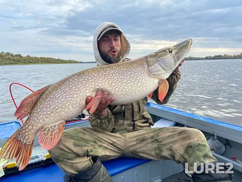 Pike — Ob, Sep 25, 2024