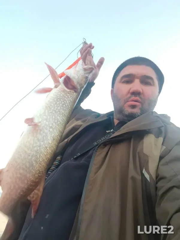 Pike — Ob, Sep 30, 2024