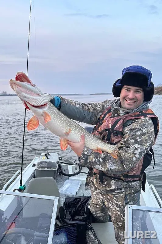 Pike — Tomskaya oblast, Tomskiy rayon, Oct 19, 2024