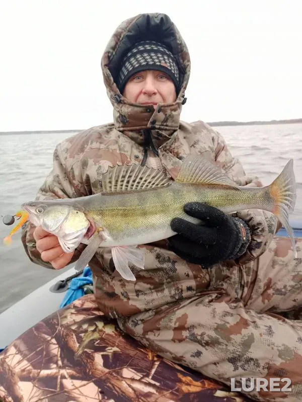 Zander — Shoshinskiy plyos, Nov 16, 2024