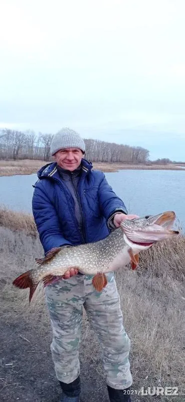 Pike — Tambovskaya oblast, Mordovskiy munitsipalnyy okrug, Nov 12, 2021