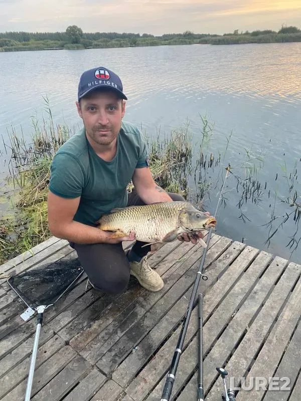 Carp — Tambovskaya oblast, Tambovskiy munitsipalnyy okrug, Sep 12, 2024