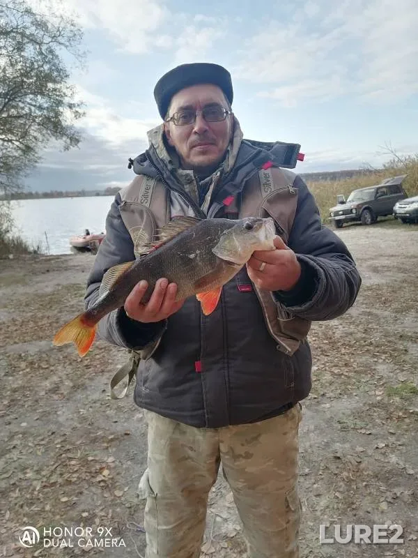 Perch — Shushpanskoye, Oct 27, 2024