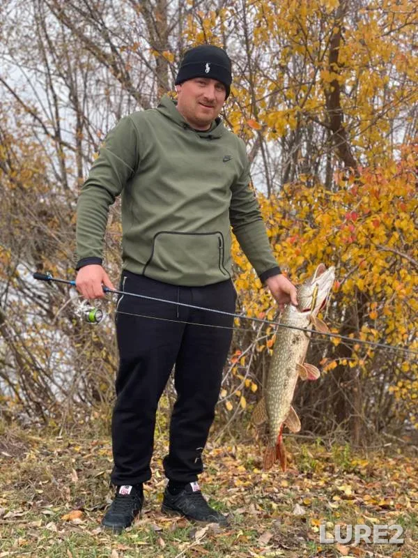 Pike — Tambovskaya oblast, Tambovskiy munitsipalnyy okrug, Oct 29, 2024