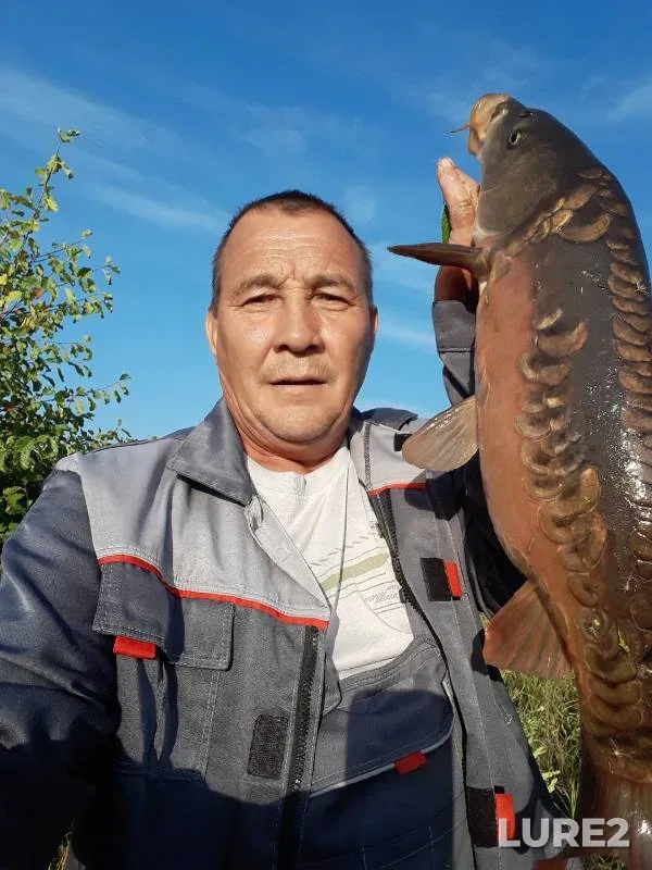 Carp — Ulyanovskaya oblast, Sep 12, 2024