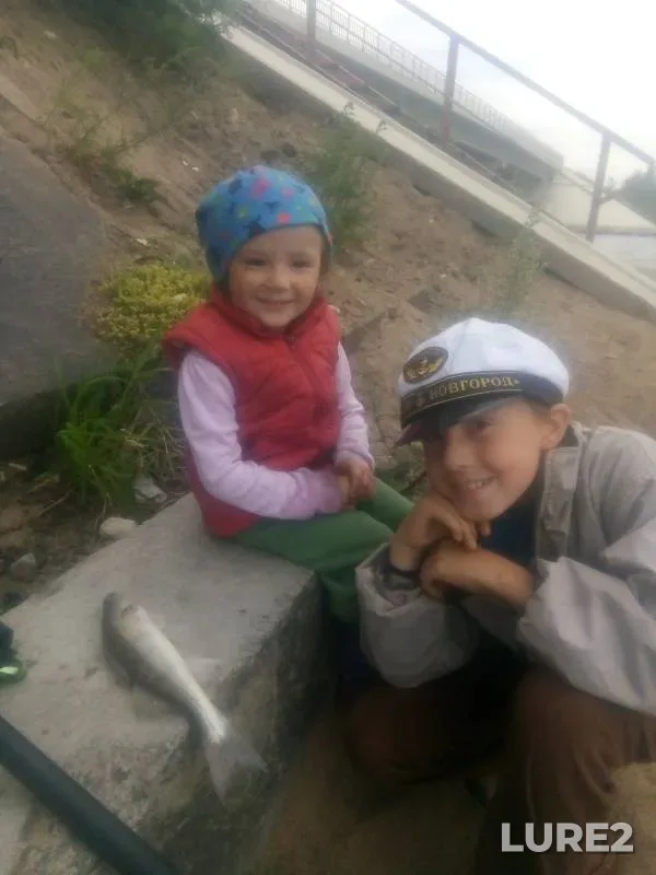 Zander — Leningradskaya oblast, Vyborgskiy rayon, Jul 26, 2019