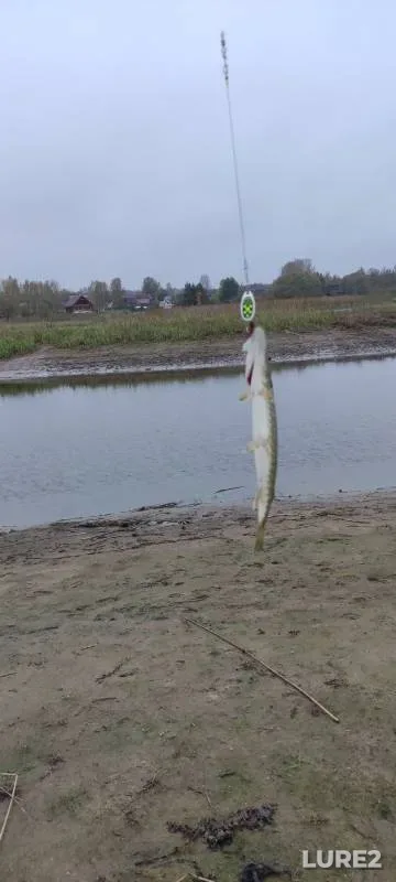 Pike — Uchemka, Oct 12, 2024