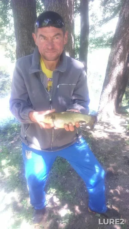 Tench — Psyol, Jun 10, 2018