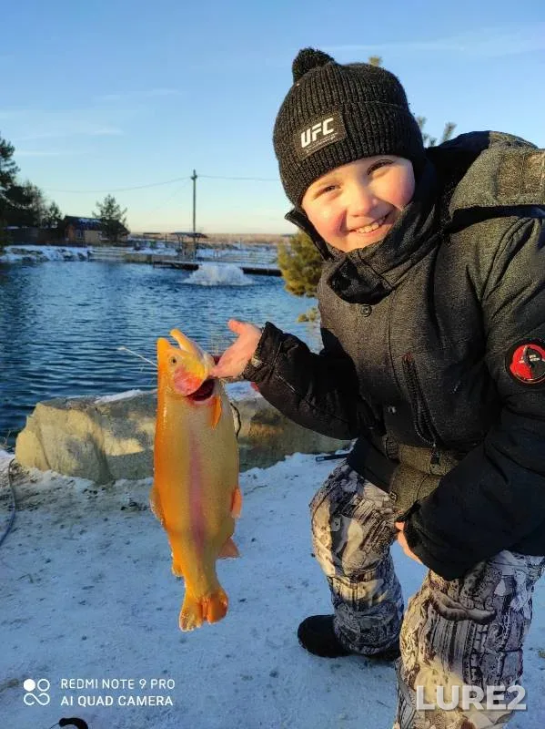 Rainbow trout — Koyelga, Dec 15, 2020