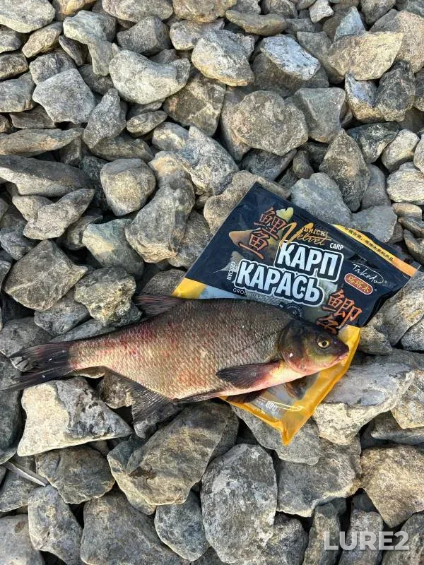 Bream — Bolshoy Sunukul, Jun 25, 2024
