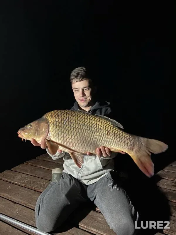 Carp — Respublika Bashkortostan, Aug 21, 2022