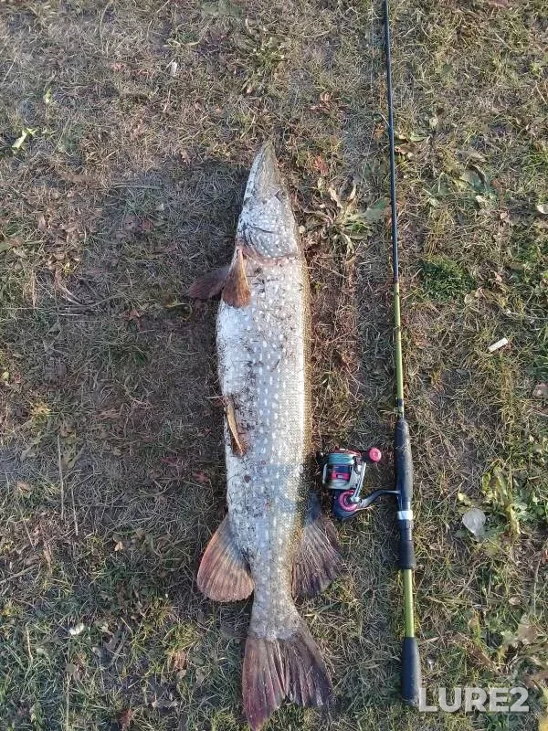 Pike — Respublika Bashkortostan, Oct 15, 2020