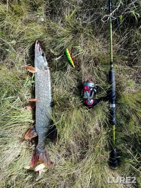 Pike — Respublika Bashkortostan, Jun 06, 2021