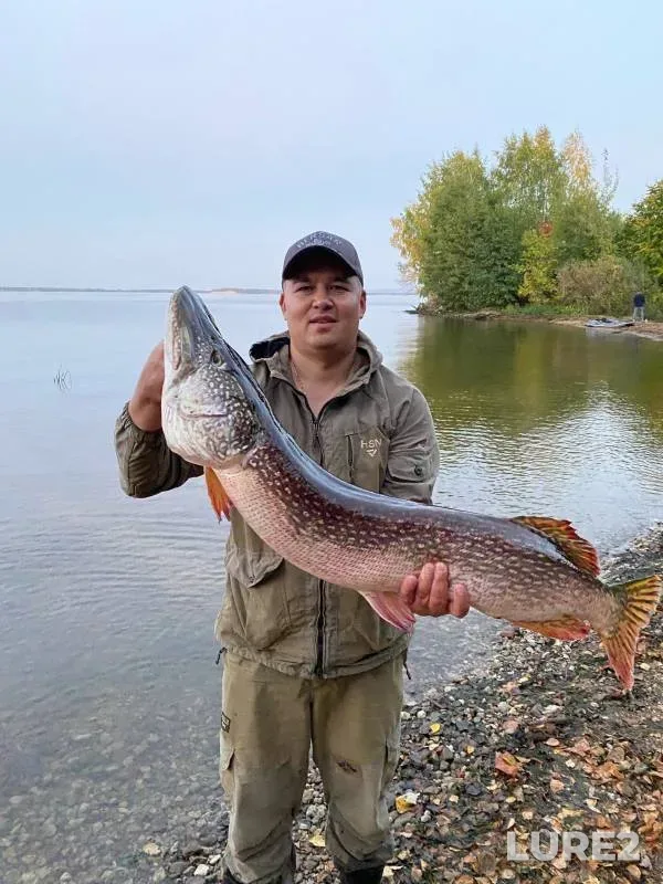 Pike — Cheboksarskoye, Sep 23, 2023