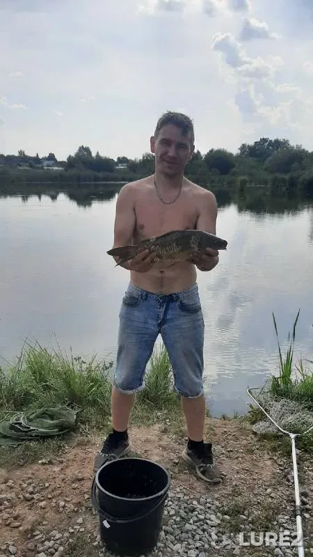 Carp — Malaya Votka, Aug 09, 2022