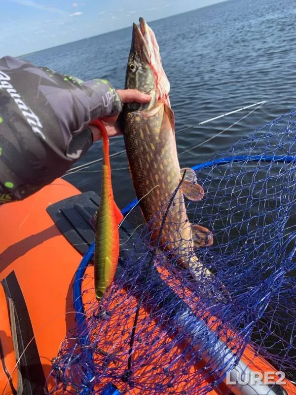 Pike — Narva jõgi - Narva, May 22, 2023