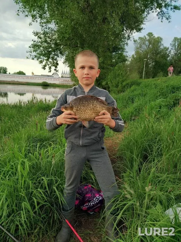 Crucian carp — Tabory, May 26, 2024