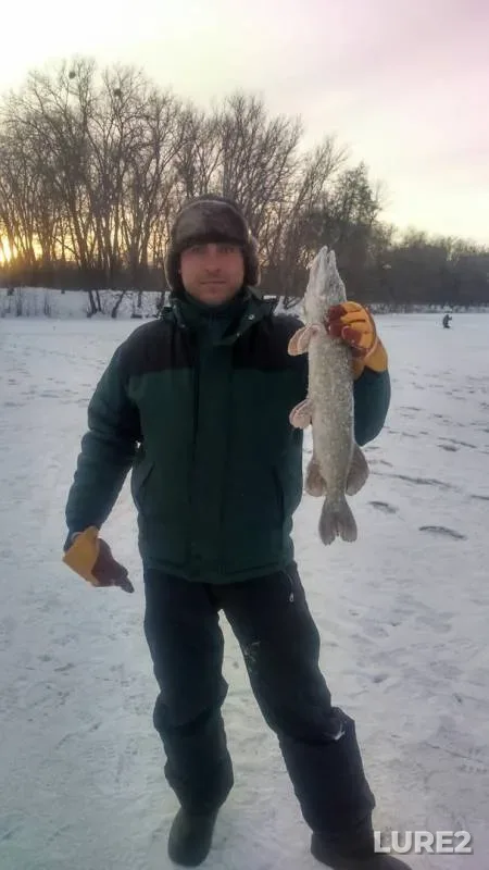 Pike — Psyol, Jan 31, 2018