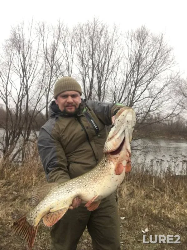 Pike — Oka, Dec 03, 2024