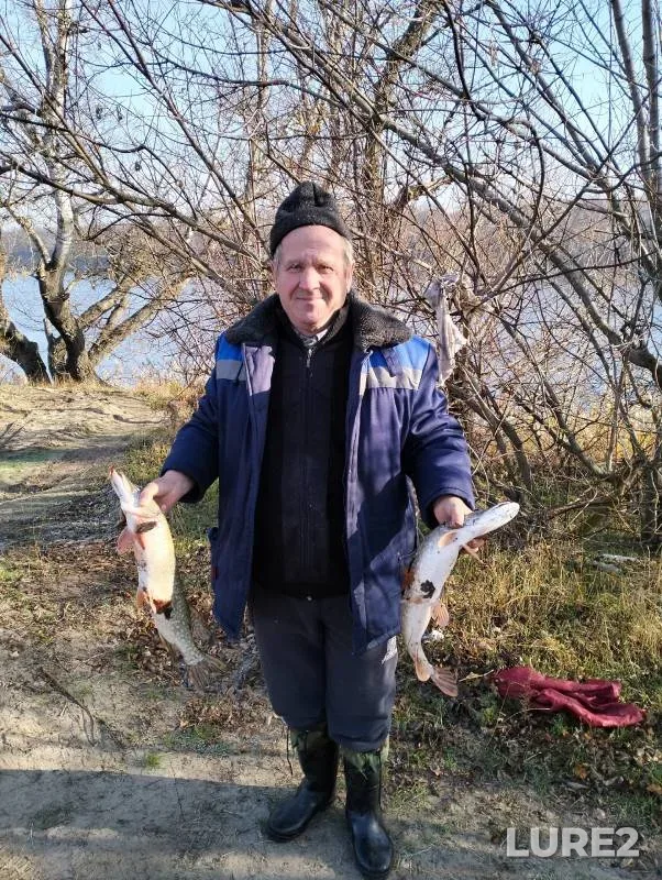 Pike — Sіverskiy Donets / Severskiy Donets, Nov 20, 2024